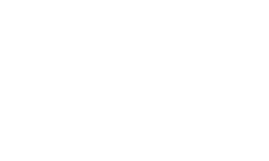 BridgTheGap